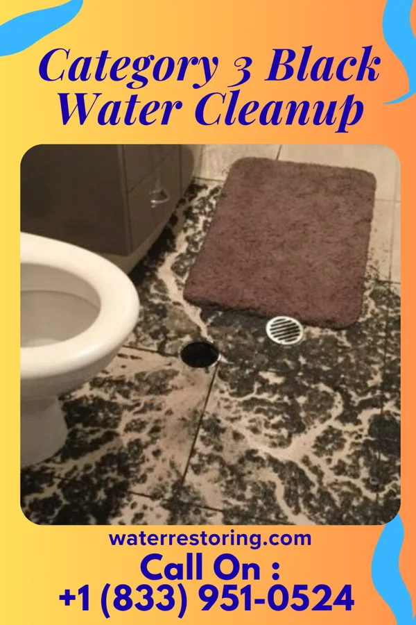 Category 3 Black Water Cleanup in Fife Lake, MI