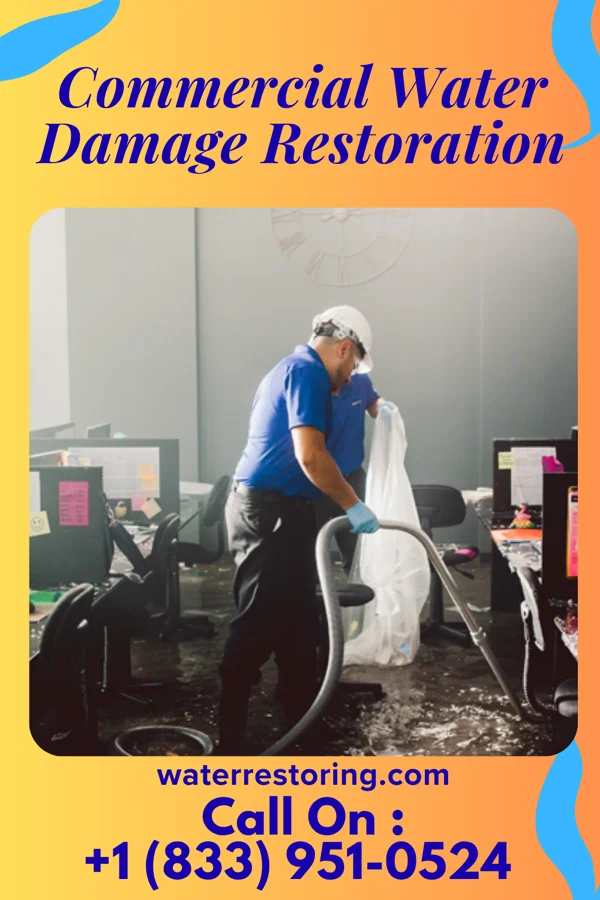Commercial Water Damage Restoration in Fife Lake, MI