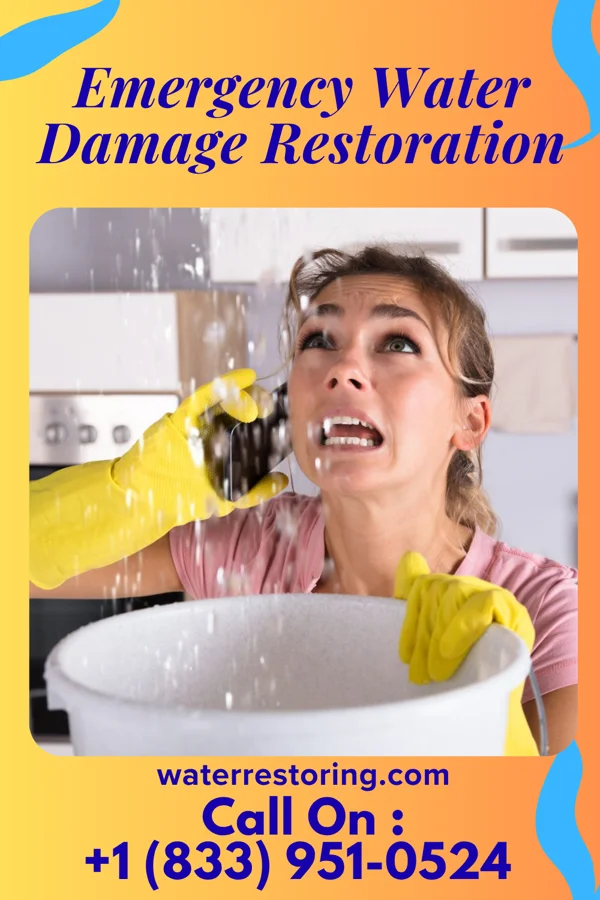 Emergency Water Damage Restoration in Fife Lake, MI