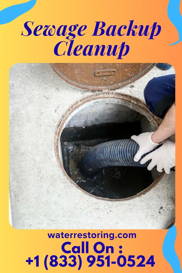 Sewage Backup Cleanup in Fife Lake, MI
