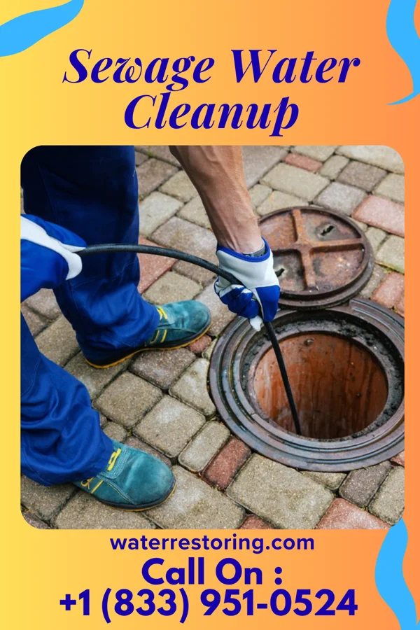 Sewage Water Cleanup in Fife Lake, MI